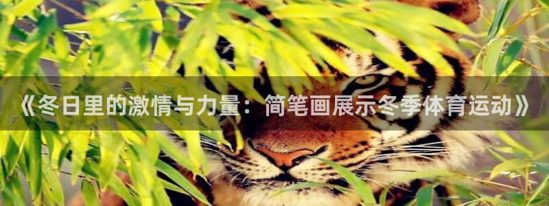谈球吧体育