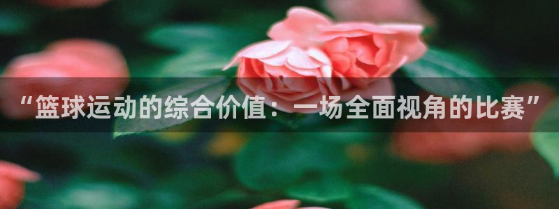 谈球吧体育官网