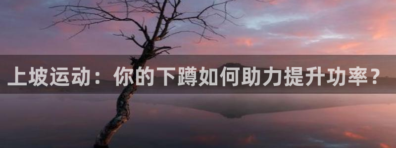 谈球吧