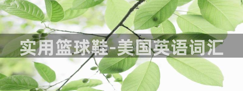 谈球吧体育官网