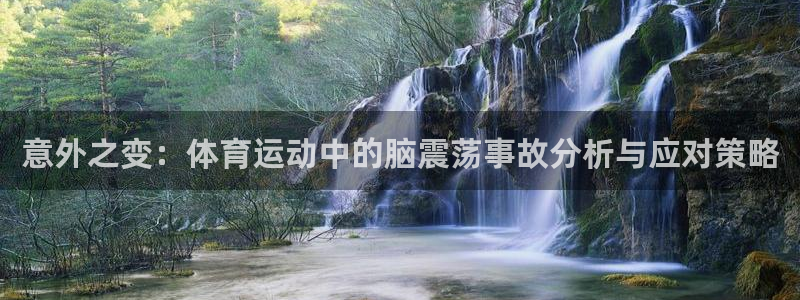 谈球吧：意外之变：体育运动中的脑震荡事故分析与应对策略