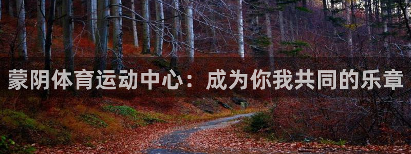 谈球吧
