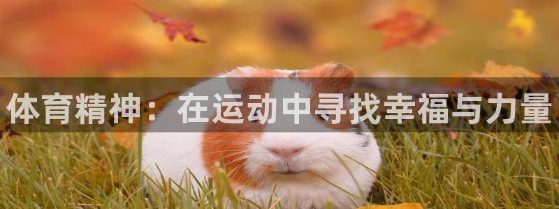 谈球吧