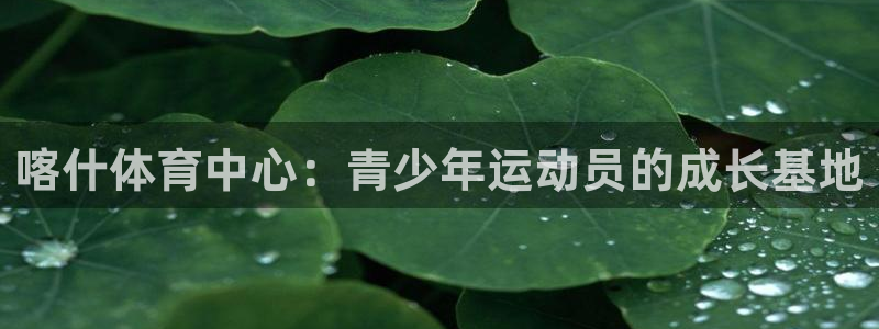 谈球吧体育官网