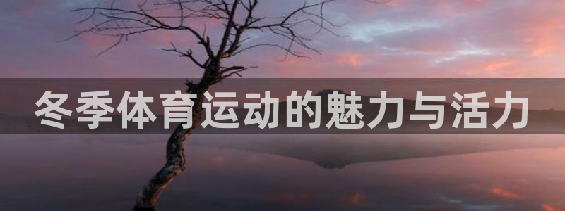 谈球吧：冬季体育运动的魅力与活力